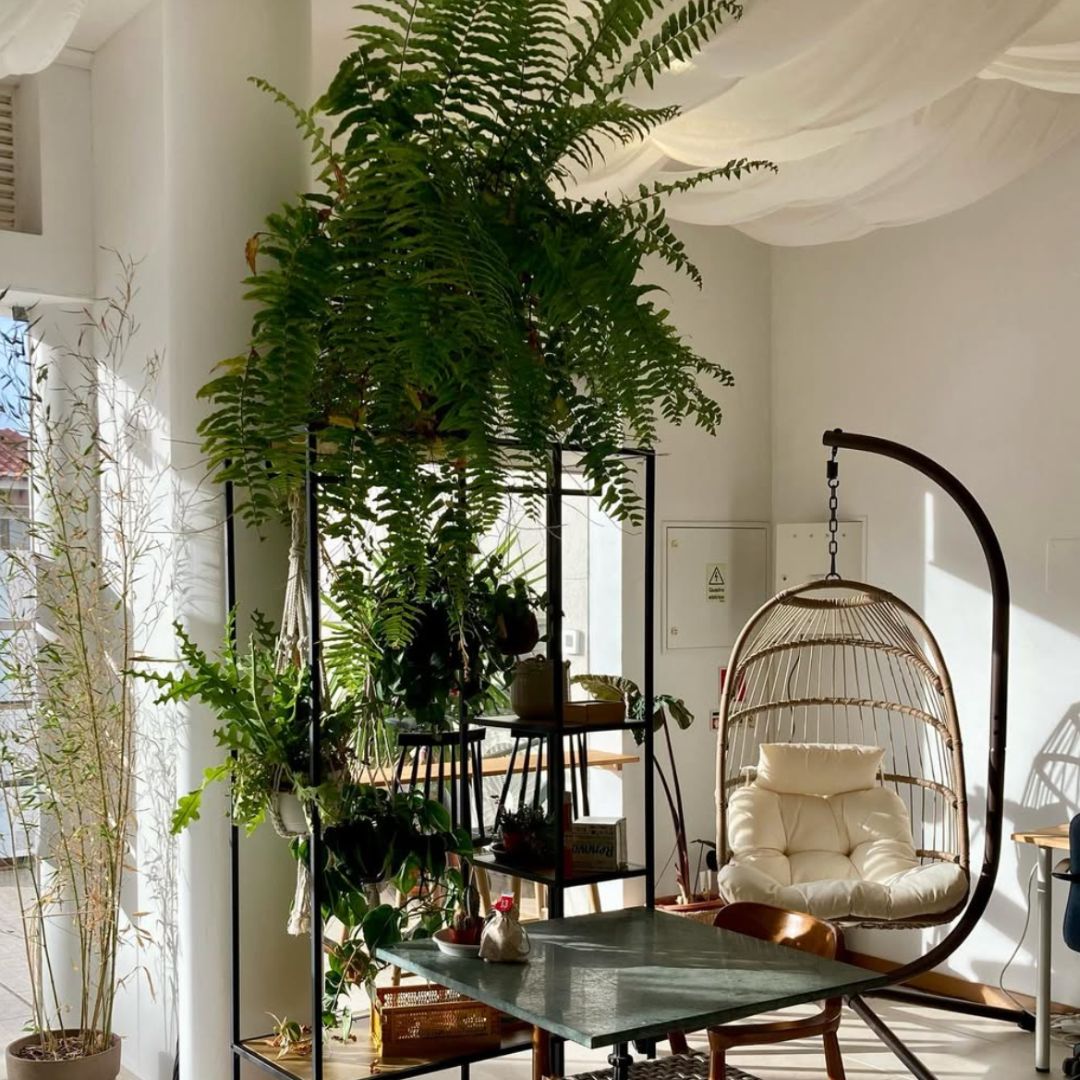 Coworking desk by Claudia